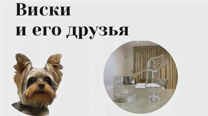 Выбор бокала для виски
