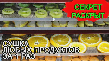 Сушка овощей, фруктов, ягод, трав, чая в инфракрасной сушилке за 1 раз. Обзор ик сушилки ФлексиХИТ