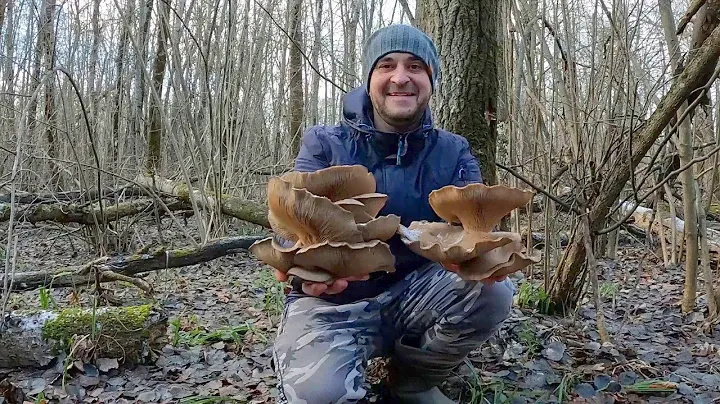 ГРИБНИК попал  В ГРИБНОЙ РАЙ!!! Массовый сбор грибов 2025