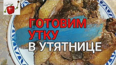 😋😋ГОТОВИМ УТКУ В УТЯТНИЦЕ. Вкусно, пальчики оближешь!! Braised duck with apples