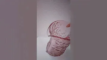 Кувшин "Кора". Неман.