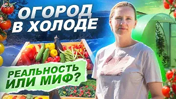 🌿 ОГОРОД НА СЕВЕРЕ: МОЩНЫЙ УРОЖАЙ В ЛЕНОБЛАСТИ! 🥒🍅 | «ПО ДАЧАМ» | 2 сезон 6 серия